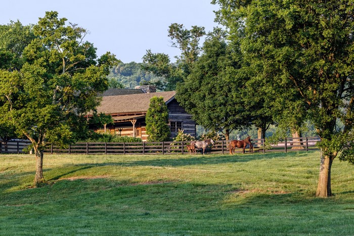 Horses in a field near a log cabin in Tennessee