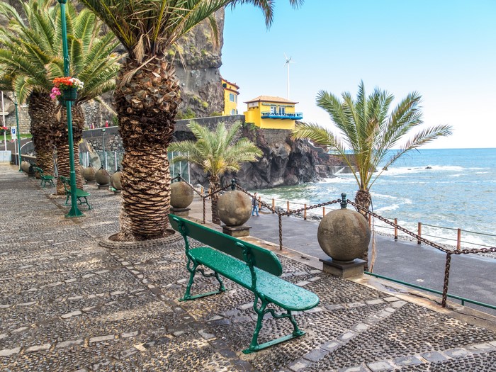 Bench and palm trees on the coast of Ponta do Sol, Madeira