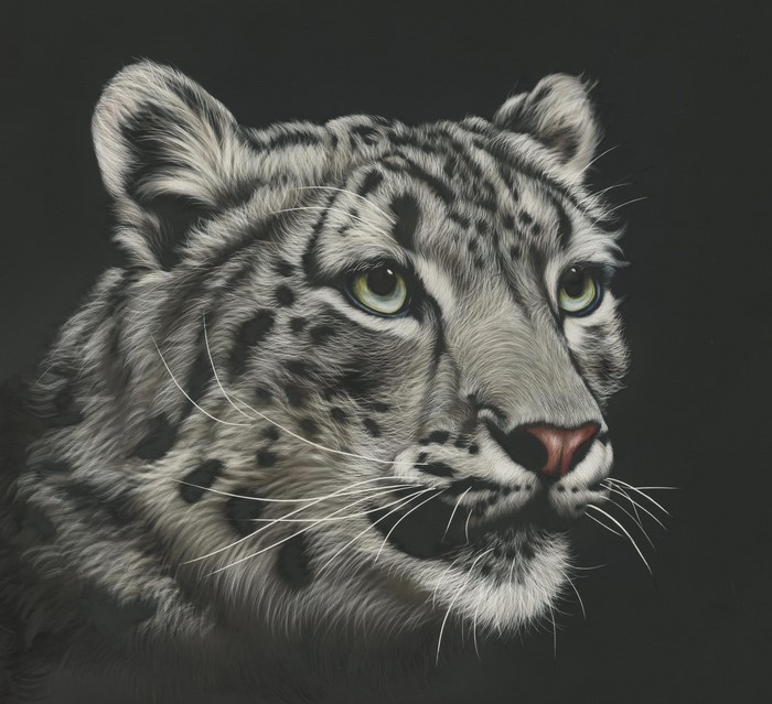 Painting of a Snow Leopard's Head