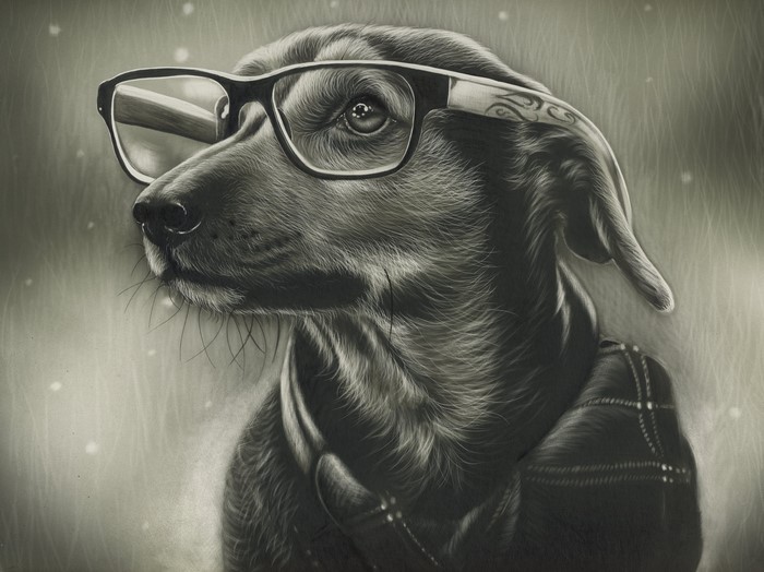 Dog wearing glasses and scarf, black and white painting