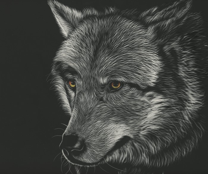 Painting of a wolf's head on a black background