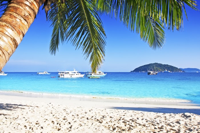 Tropical beach with palm trees and boats