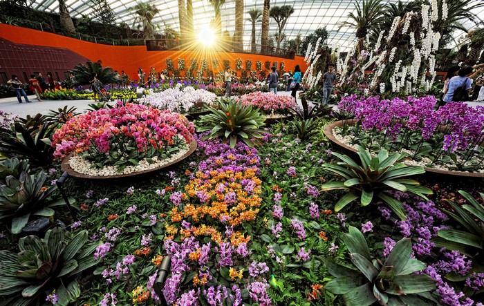 4K Gardens by the Bay Singapore Orchid Display