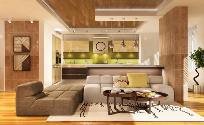 Modern living room and kitchen interior design
