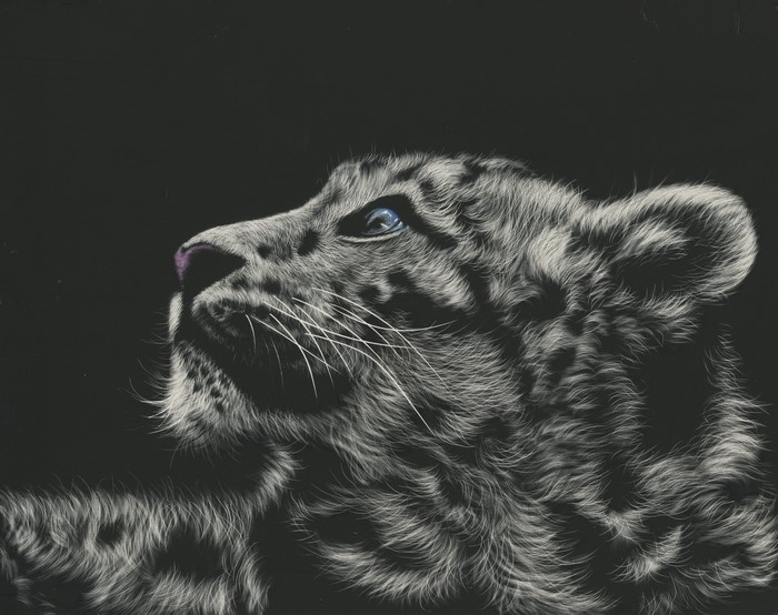 Painting of a snow leopard cub looking up