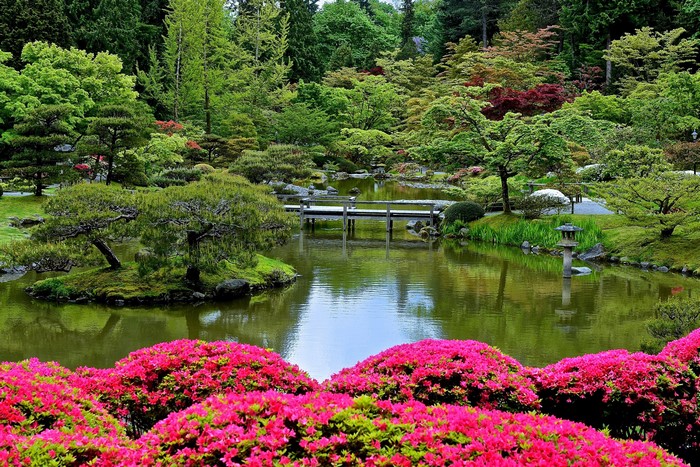 Seattle Japanese Garden, USA, Parks, Pond, Trees, HD Wallpaper | Rare ...