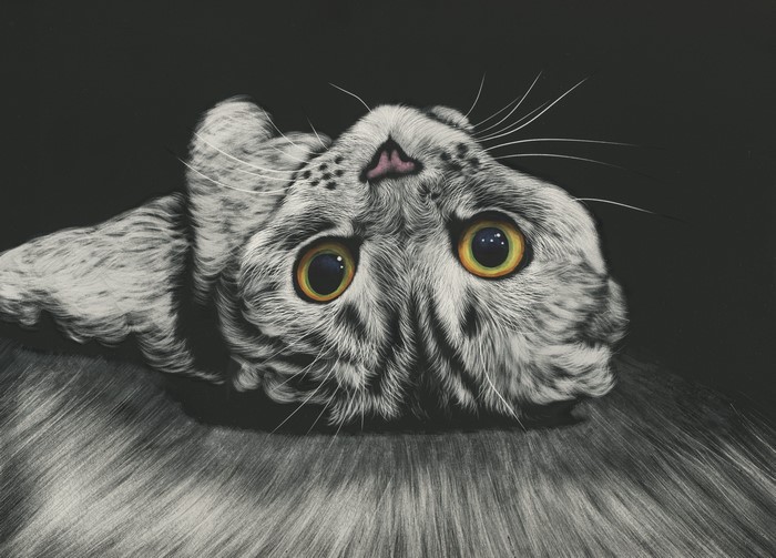 Close-up painting of a cat's face looking up