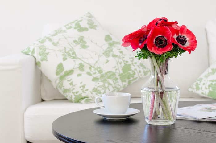 Still-life of red anemones in a vase with a cup and saucer