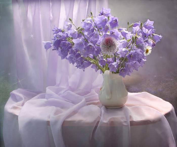 Bouquet of Campanula flowers in a vase on a table