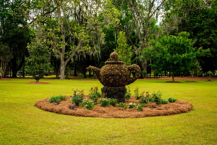Topiary Teapot Sculpture in Thomasville Rose Garden