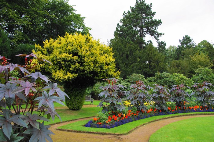 4K Wentworth Castle Gardens with Vibrant Shrubs and Lawn
