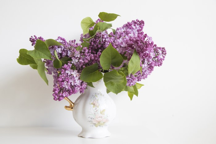 Lilac flowers in a vase