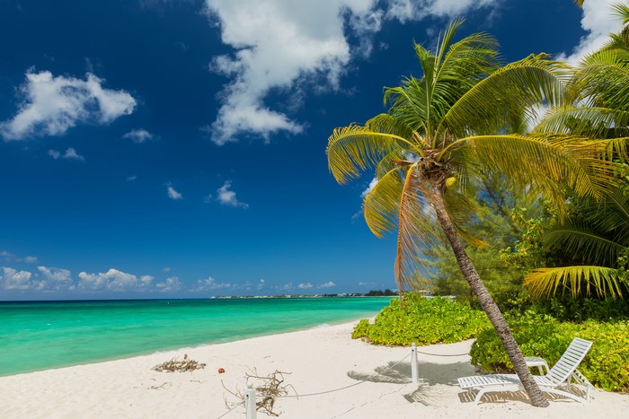 Grand Cayman Beach with Palm Trees and Lounger