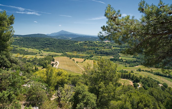 Vaucluse, France Scenery with Fields and Forests