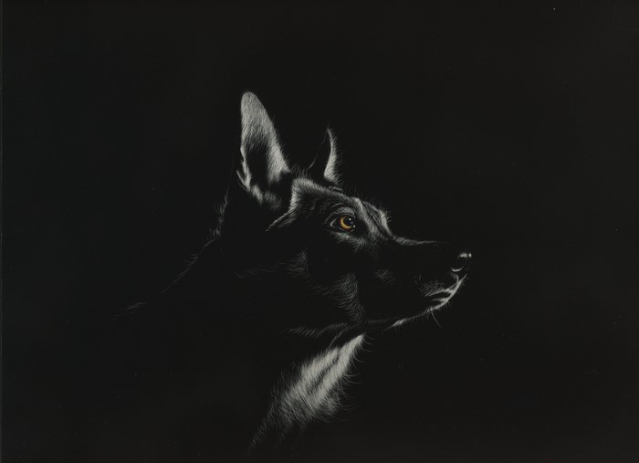 Painting of a wolf's head on a black background