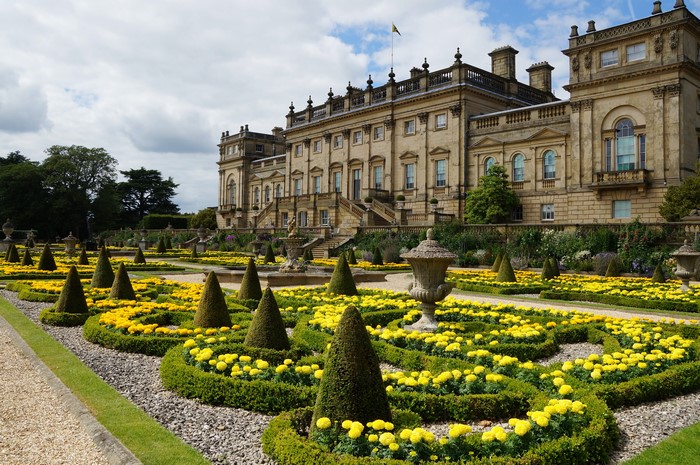 Harewood House Leeds formal gardens with yellow flowers