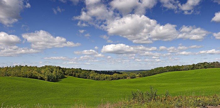 Rolling green hills under a cloudy blue sky in Wisconsin