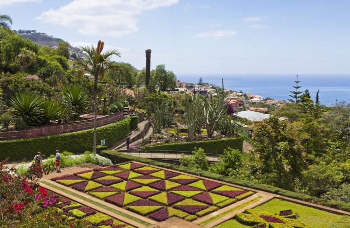 Botanical garden in Funchal, Madeira, Portugal