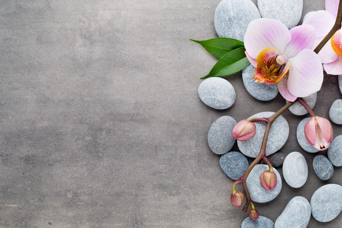 Spa stones and orchid flowers