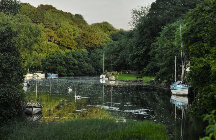 Boats and swans on Forder Creek, Saltash, Cornwall, United Kingdom