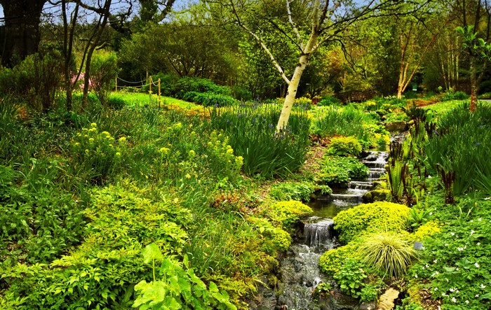 Rosemoor Gardens England Stream