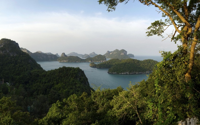 Islands in the ocean with trees in the foreground