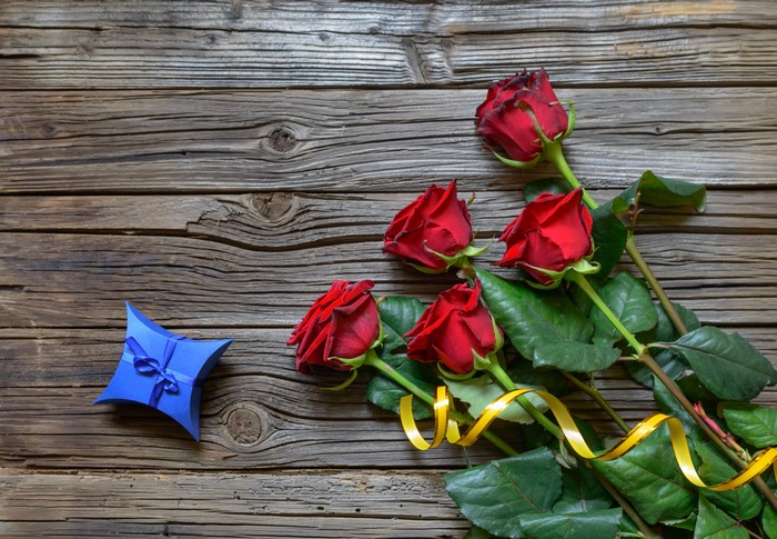 Red Roses and Blue Gift Box on Wood Planks