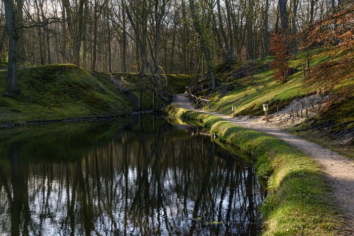 Pond and trail in Elswout, Netherlands forest