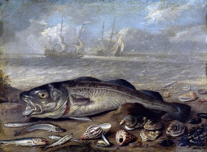 Fish and shells on the beach by Jan van Kessel I