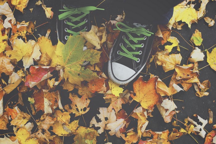 Black plimsoll shoes with green laces on autumn foliage