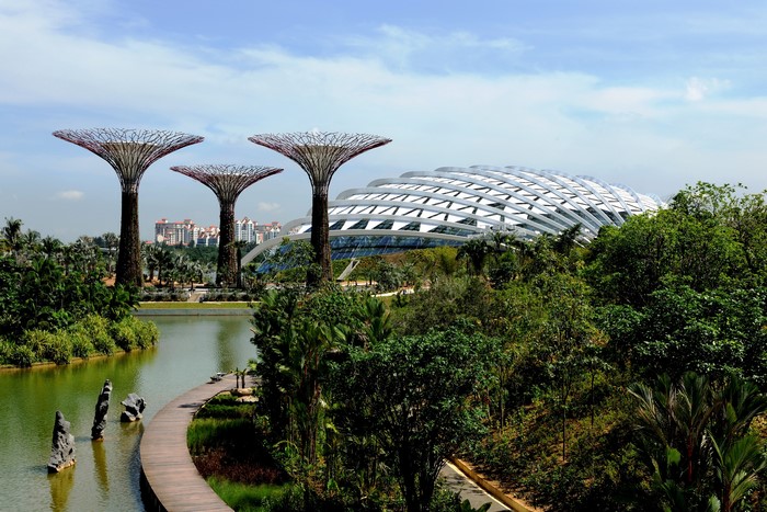 Gardens by the Bay Singapore with Supertrees and Domes
