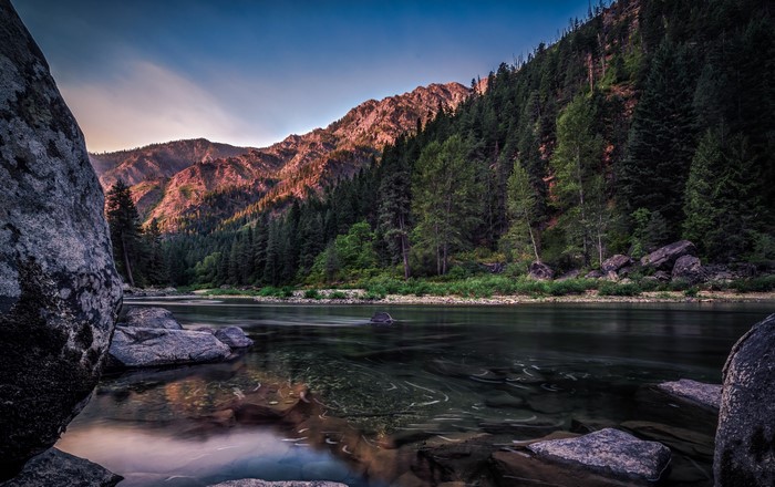 River flowing through a forest with mountains in Washington, USA
