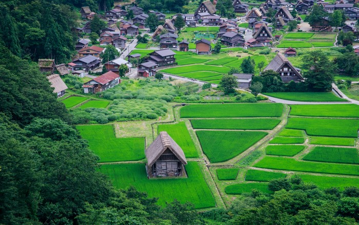 Traditional Japanese village with rice fields