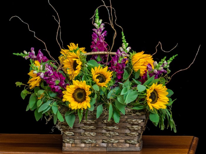 Sunflowers and Antirrhinum in a Wicker Basket