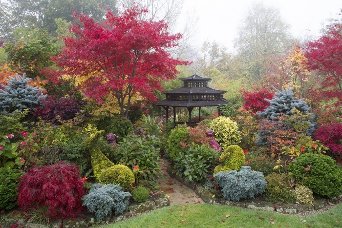 Japanese Garden with Pagoda and Autumn Foliage