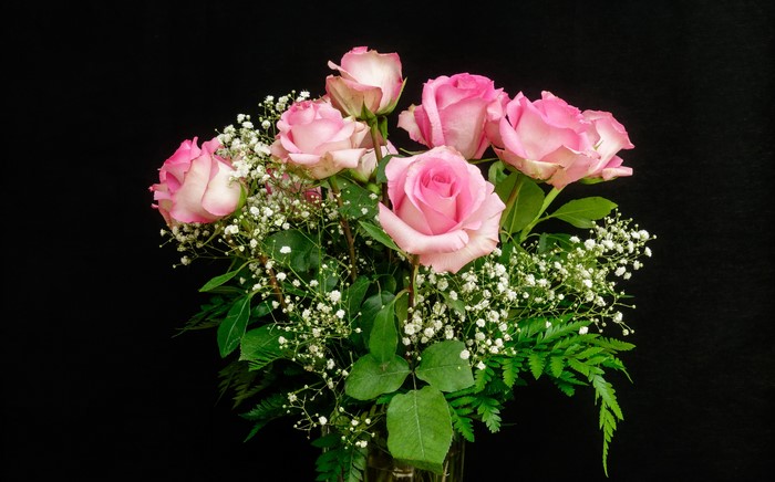 Pink Roses Bouquet with Baby's Breath on Black Background