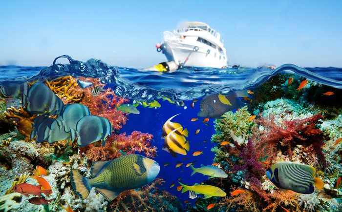 Underwater world with corals, fish, and a yacht