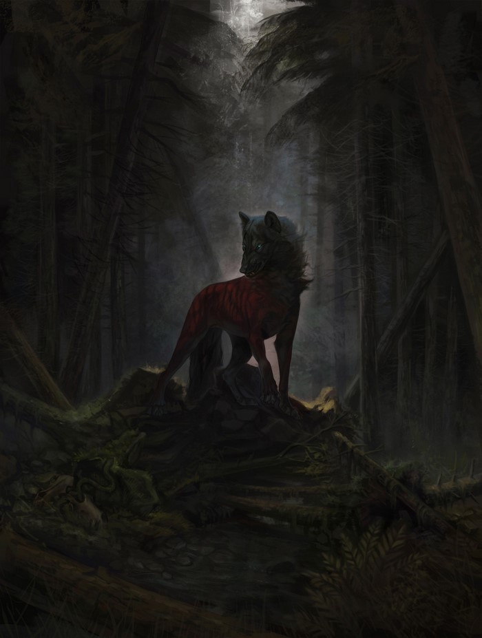 A wolf with red markings in a dark forest