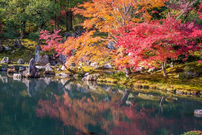 Autumn foliage reflected in a pond in Kyoto, Japan