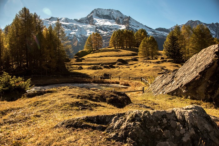 Autumn landscape with mountains and trees in France