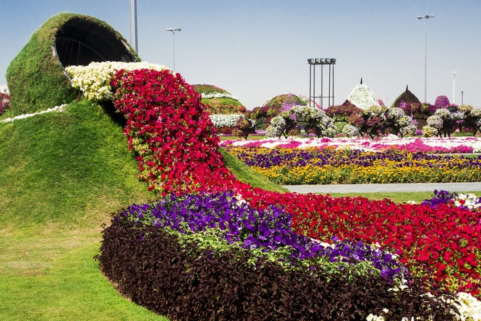 Miracle Garden Dubai flower display