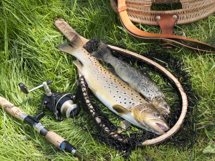 Two trout in a fishing net with rod and basket