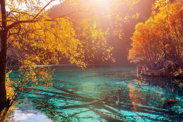 Jiuzhaigou Park Lake in Autumn with Golden Trees