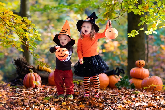 Children in Halloween Costumes with Pumpkins in Autumn Forest