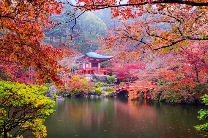 Pagoda and bridge in Kyoto park during autumn