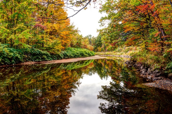 Autumn forest reflected in Baker River, Rumney, New Hampshire