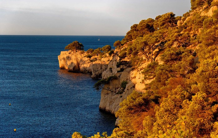 Rocky coast with pine trees and blue sea in Provence