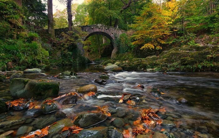 Stone bridge over a river in autumn forest
