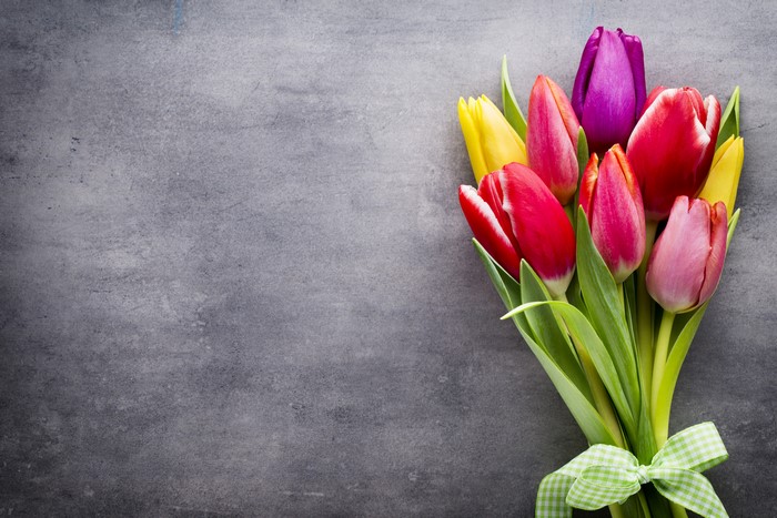 Bouquet of Tulips with Green Bowknot