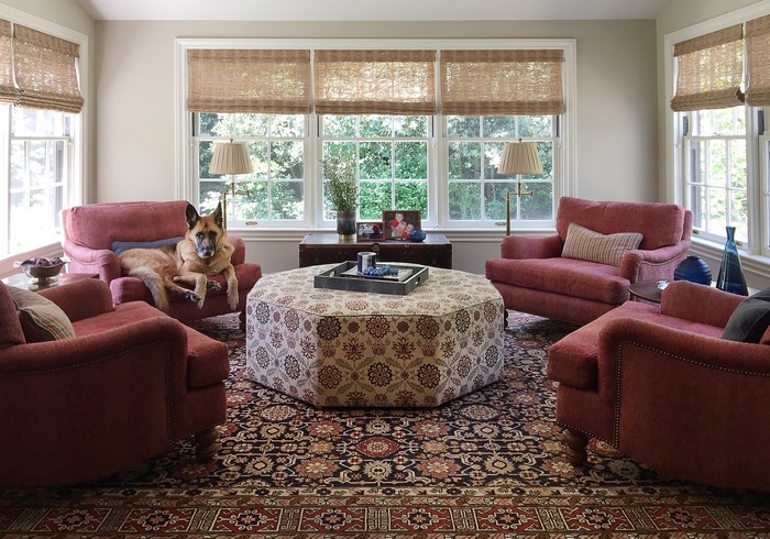 Living room with German Shepherd and armchairs